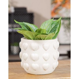 Cache-pot cœurs blanc