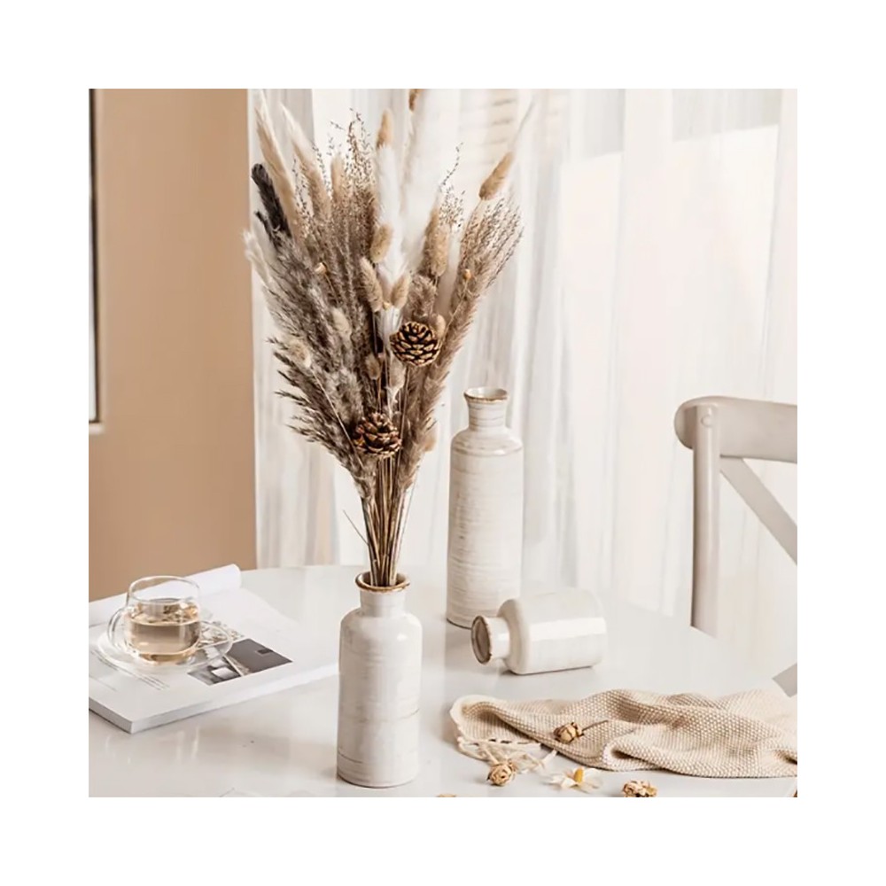 Ensemble de 3 Vases en Céramique Boho, Vase à Fleurs Hydroponique de Table Nordique Moderne