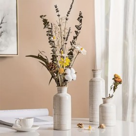 Ensemble de 3 Vases en Céramique Boho, Vase à Fleurs Hydroponique de Table Nordique Moderne