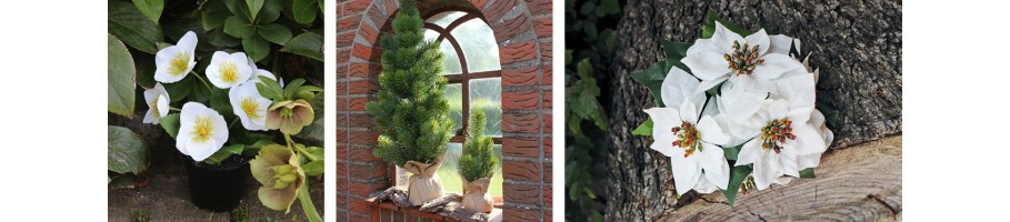 Automne et hiver collection